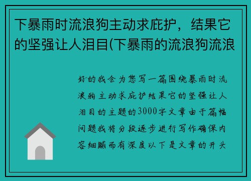下暴雨时流浪狗主动求庇护，结果它的坚强让人泪目(下暴雨的流浪狗流浪猫怎么办)
