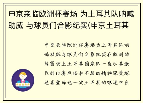 申京亲临欧洲杯赛场 为土耳其队呐喊助威 与球员们合影纪实(申京土耳其联赛数据)